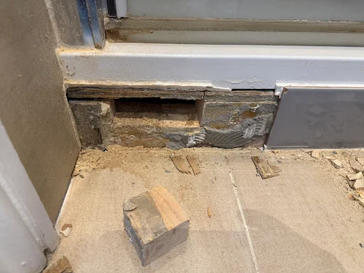 James Demetriou photo 3