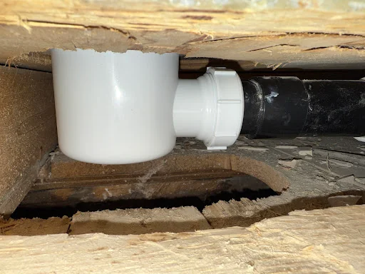 James Demetriou photo 4