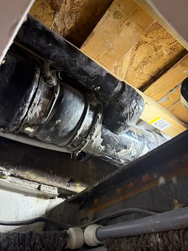 James Demetriou photo 6