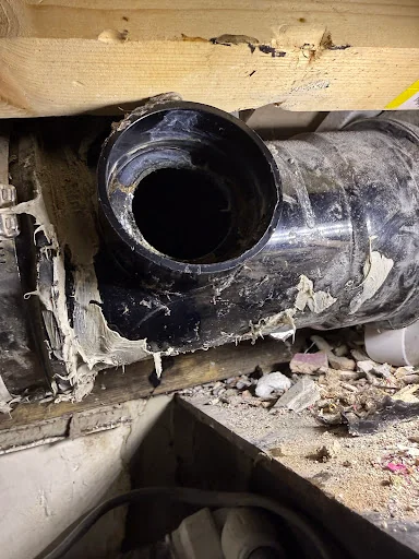 James Demetriou photo 8