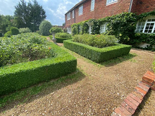 Kings Of Bearsted photo 2