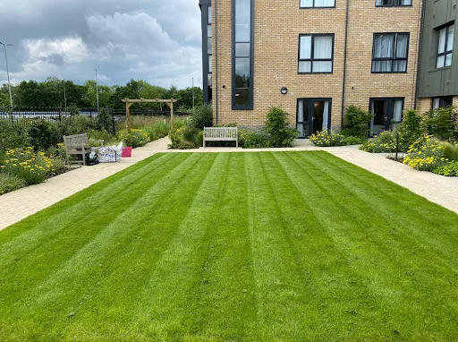 Kings Of Bearsted photo 3