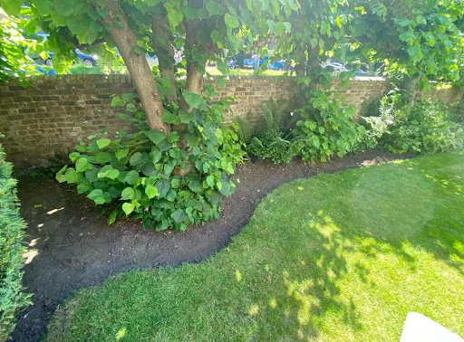 Kings Of Bearsted photo 4