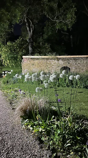 Kings Of Bearsted photo 7