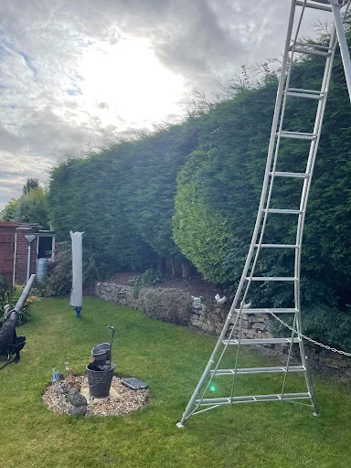 The Arborist LTD photo 1