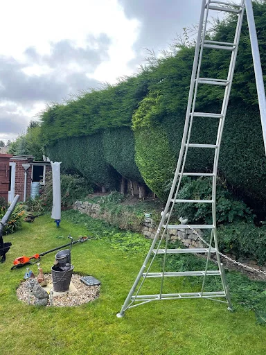 The Arborist LTD photo 2