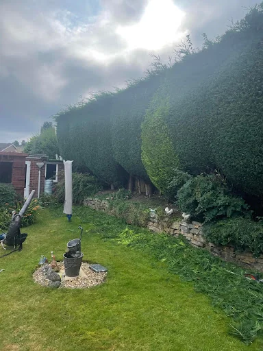 The Arborist LTD photo 3