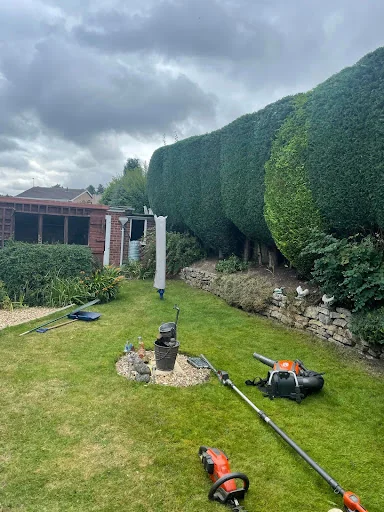 The Arborist LTD photo 4