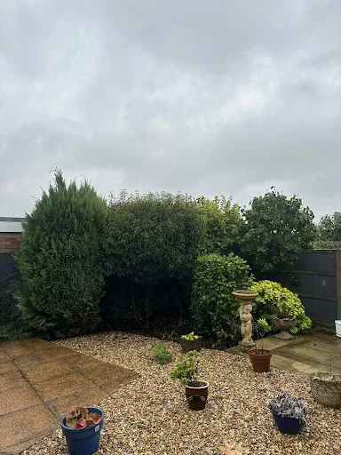 The Arborist LTD photo 5