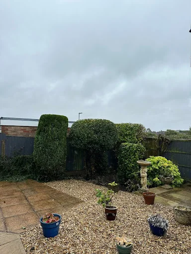 The Arborist LTD photo 6