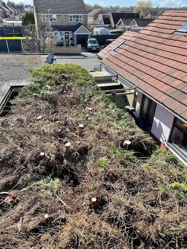 The Arborist LTD photo 7