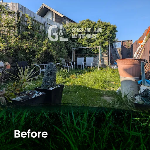 Grass and Lawn Maintenance photo 1