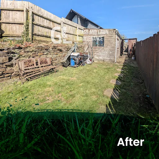 Grass and Lawn Maintenance photo 2