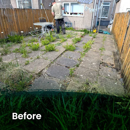 Grass and Lawn Maintenance photo 3