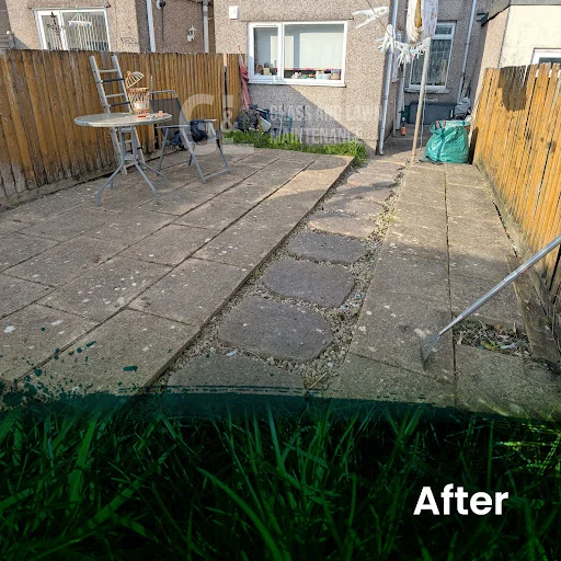 Grass and Lawn Maintenance photo 4