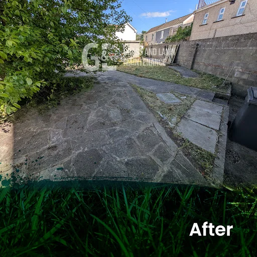 Grass and Lawn Maintenance photo 6