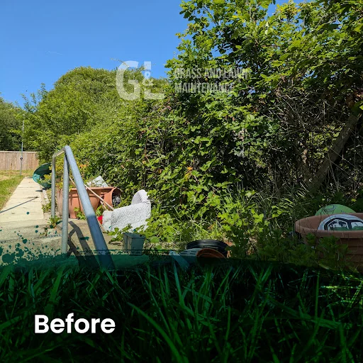 Grass and Lawn Maintenance photo 7
