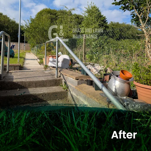 Grass and Lawn Maintenance photo 8