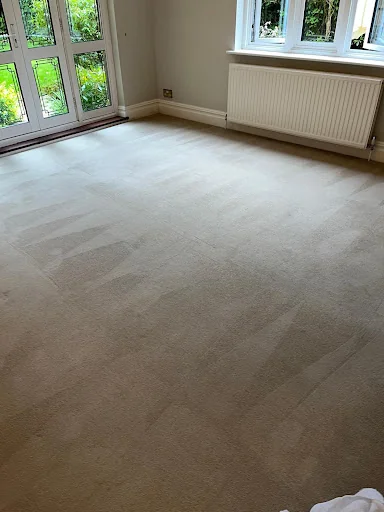 Leading Cleaning photo 2