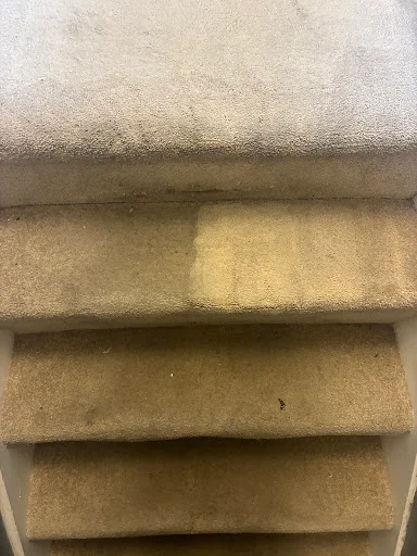 L.R.S Cleaning Ltd photo 5