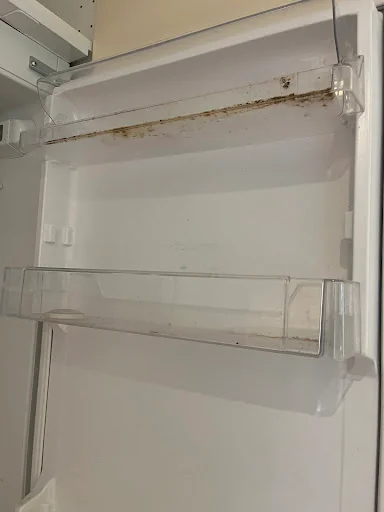 Majestic cleaning company photo 1