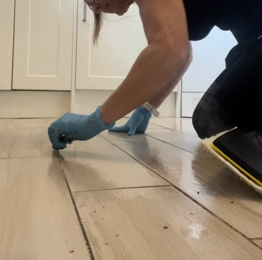 Majestic cleaning company photo 7