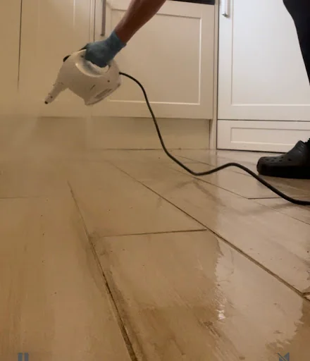 Majestic cleaning company photo 8