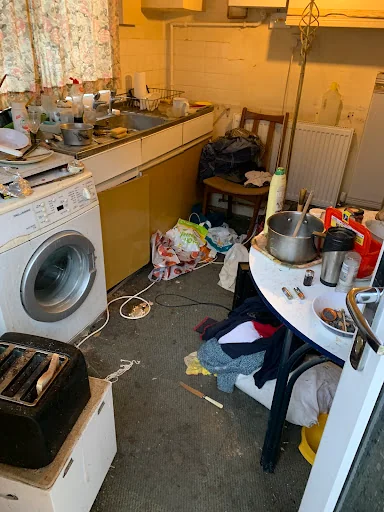 BPE Pest Prevention photo 1