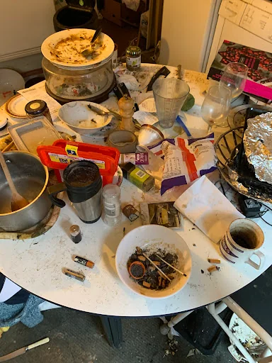 BPE Pest Prevention photo 2