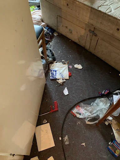 BPE Pest Prevention photo 5