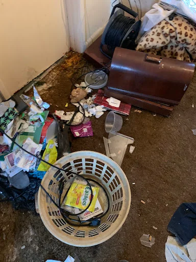 BPE Pest Prevention photo 6