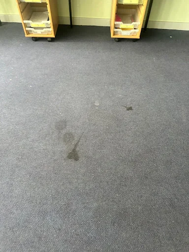 BLUE PEAK CLEANING SOLUTIONS LTD photo 6