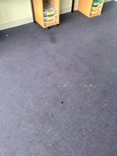 BLUE PEAK CLEANING SOLUTIONS LTD photo 7