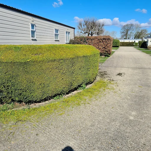 Oh So Green Gardens photo 1