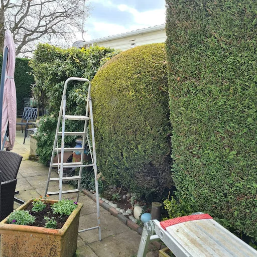 Oh So Green Gardens photo 2