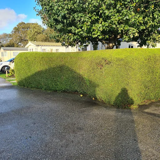 Oh So Green Gardens photo 3