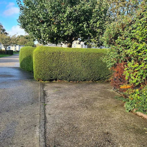 Oh So Green Gardens photo 4