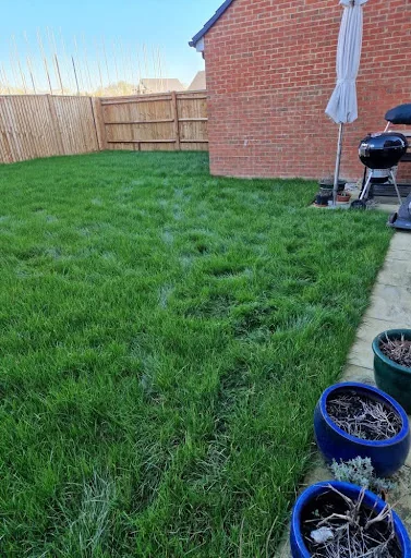 Oh So Green Gardens photo 5