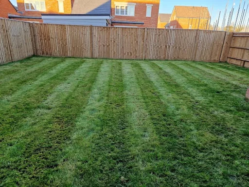 Oh So Green Gardens photo 6