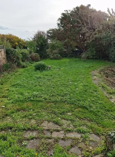 Oh So Green Gardens photo 7