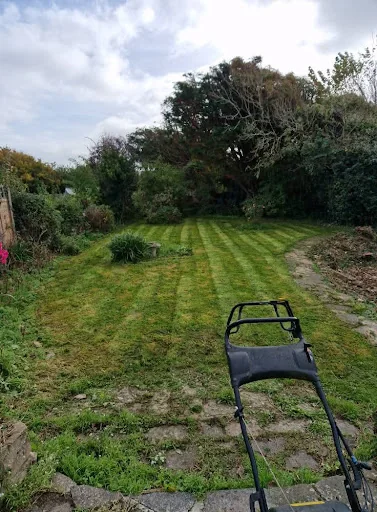 Oh So Green Gardens photo 8