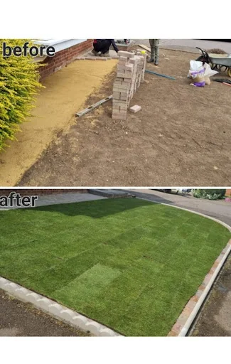 SG Tree &amp; Landscapes photo 7