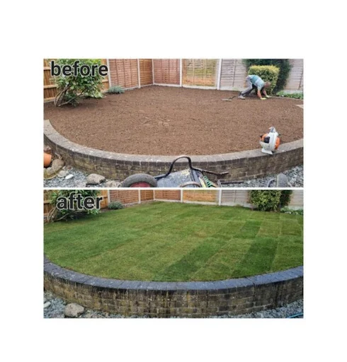 SG Tree &amp; Landscapes photo 8