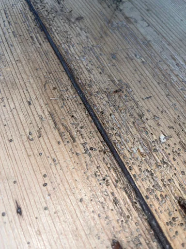 Dryforge Ltd photo 1