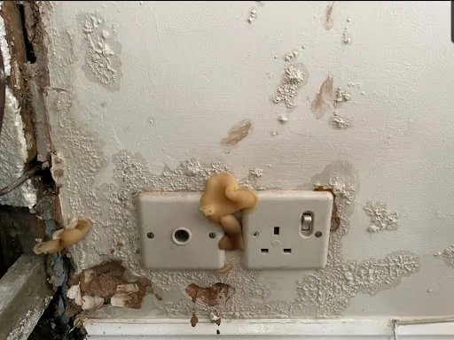 Dryforge Ltd photo 2