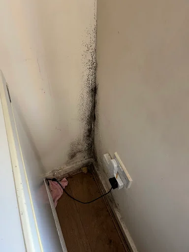 Dryforge Ltd photo 4