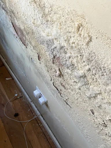 Dryforge Ltd photo 8