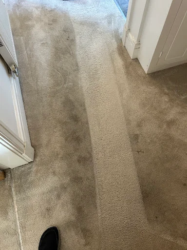 Carpet Care Services photo 2