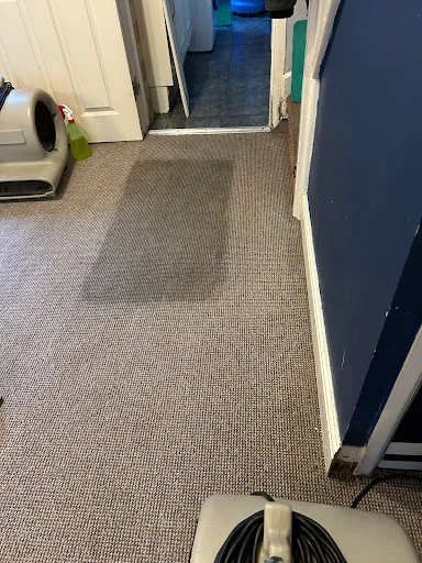 Carpet Care Services photo 4