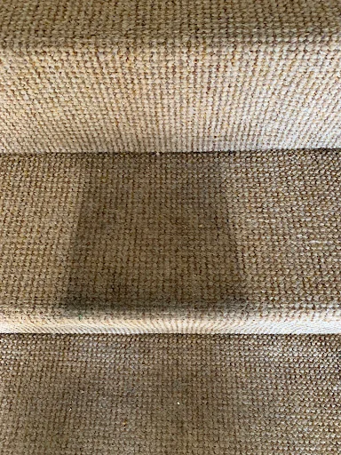 Carpet Care Services photo 8